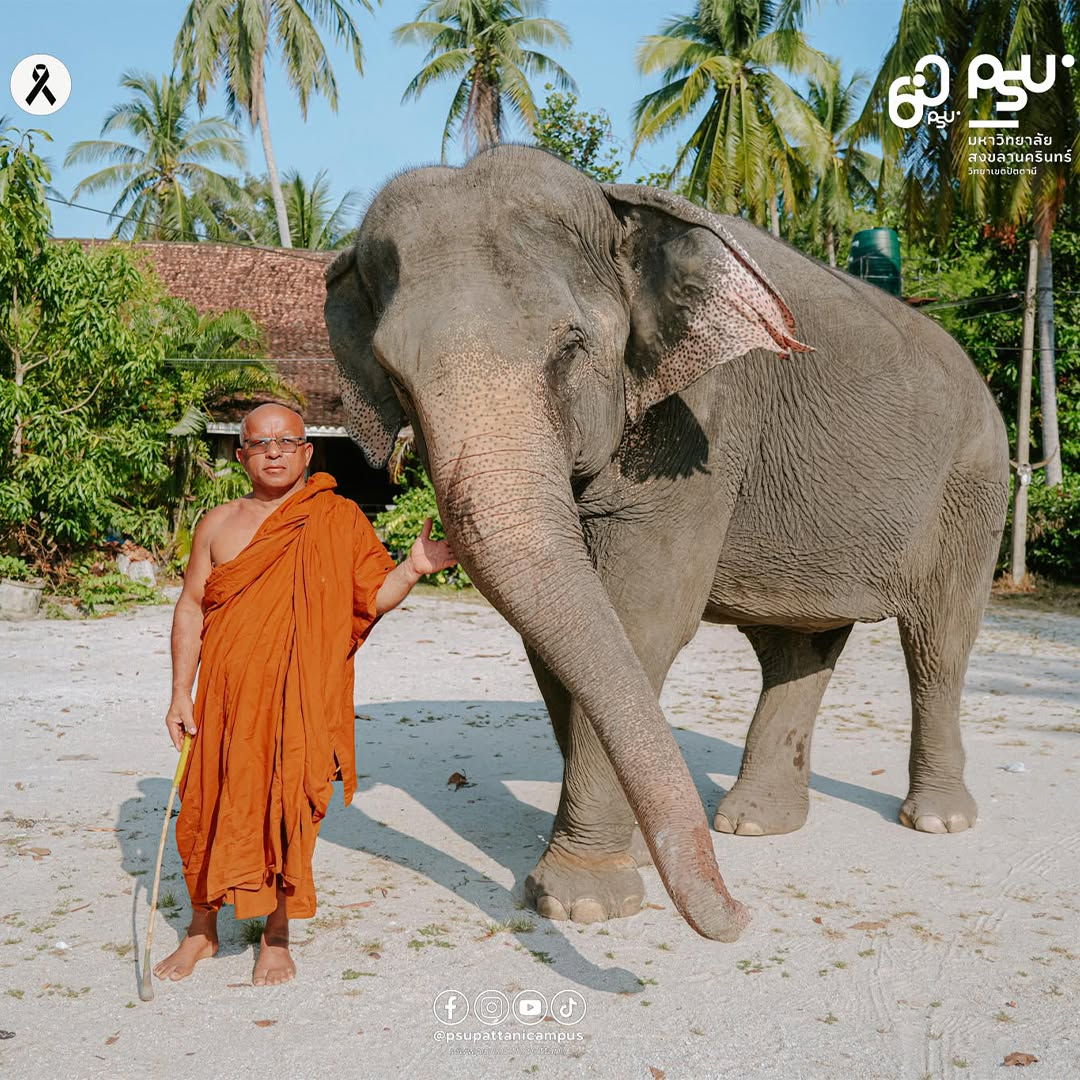 พระอธิการเรวัต ธีรสทฺโธ ("พ่อท่านเวาะห์")