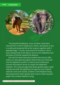 56 L-Elephant3