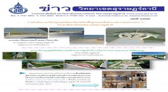 ข่าววิทยาเขตสุราษฎร์ธานี ฉบับที่ 5/2558