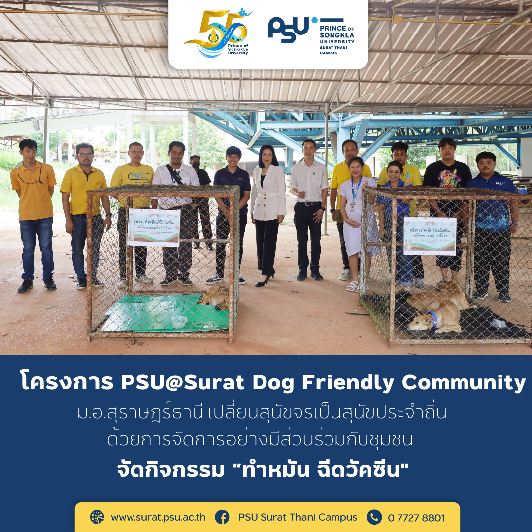 โครงการ PSU@Surat Dog Friendly Community  ม.อ.สุราษฎร์ธานี เปลี่ยนสุนัขจรเป็นสุนัขประจำถิ่น ด้วยการจัดการอย่างมีส่วนร่วมกับชุมชน