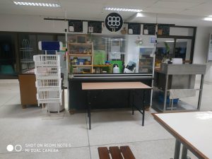 IMG_20210517_183458